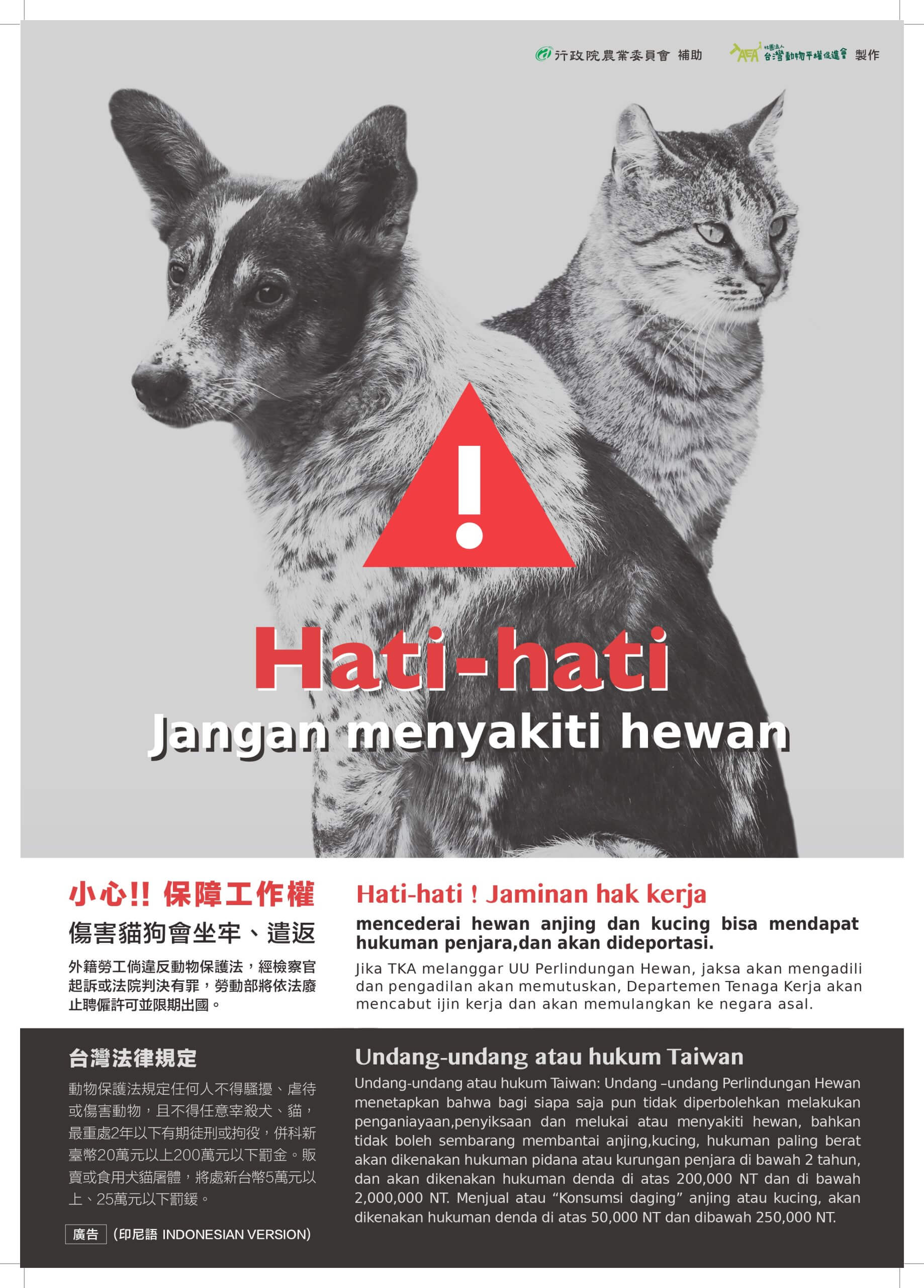 【中印】動物保護宣導